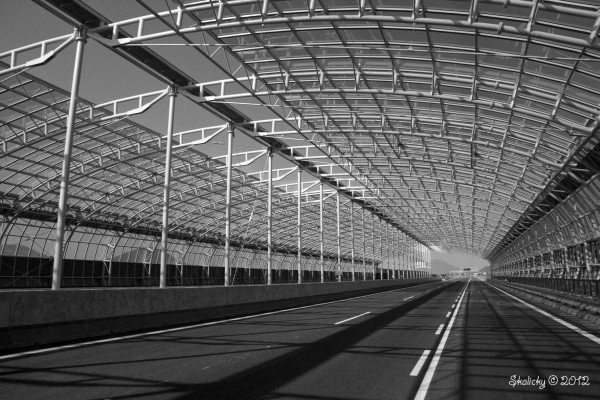 foto k příspěvku  od Crimson