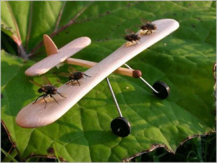 foto k příspěvku  od Rustapha-659