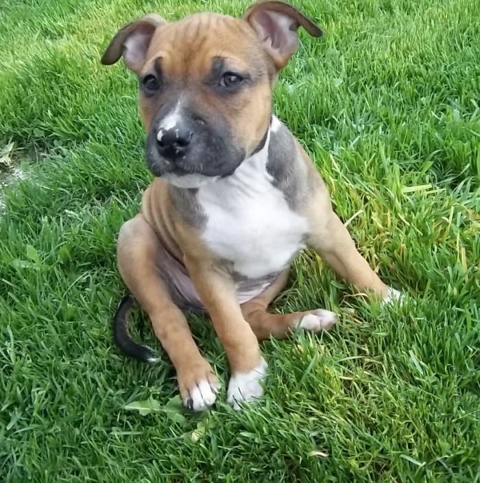 foto k příspěvku  od dolph