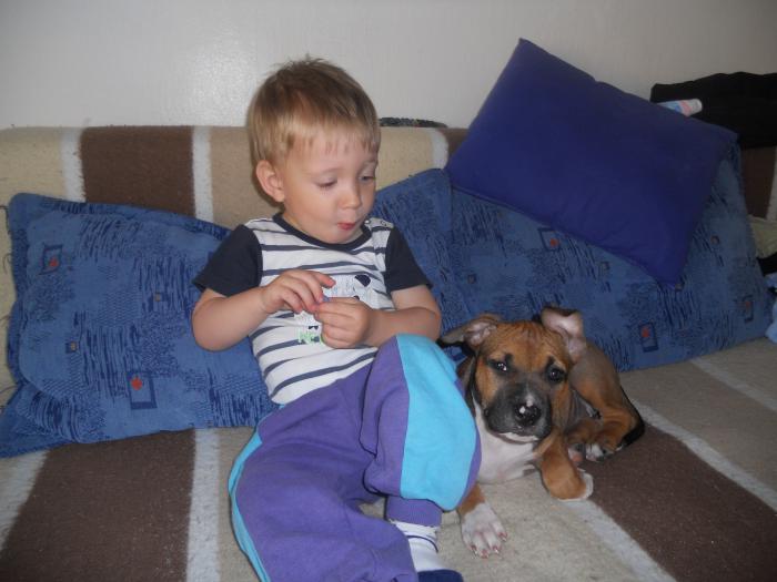 foto k příspěvku  od dolph