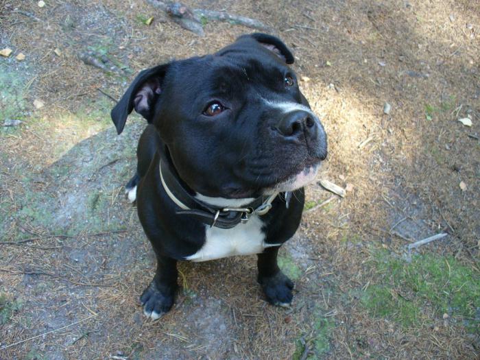 foto k příspěvku  od kupis