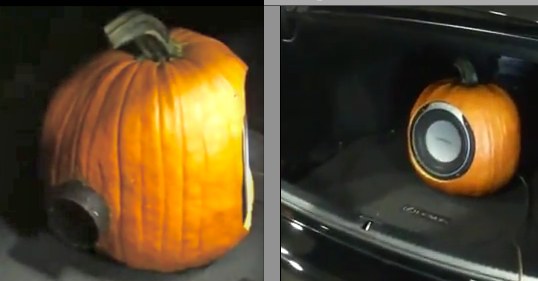 foto k příspěvku  od ricardo