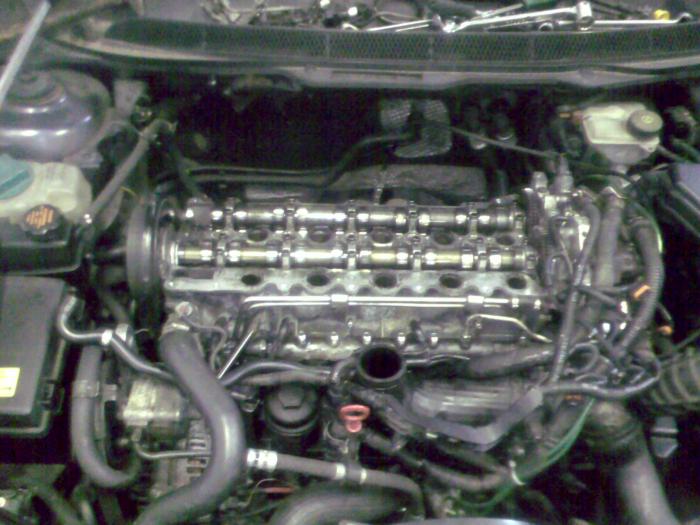 foto k příspěvku  od clown