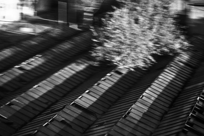 foto k příspěvku  od Bucci