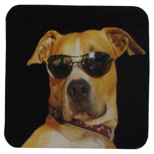 foto k příspěvku  od Pajk