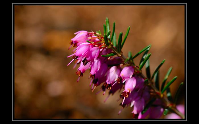 foto k příspěvku  od 323Marty