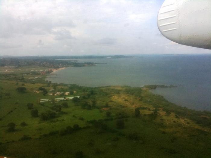 foto k příspěvku  od CervinVega