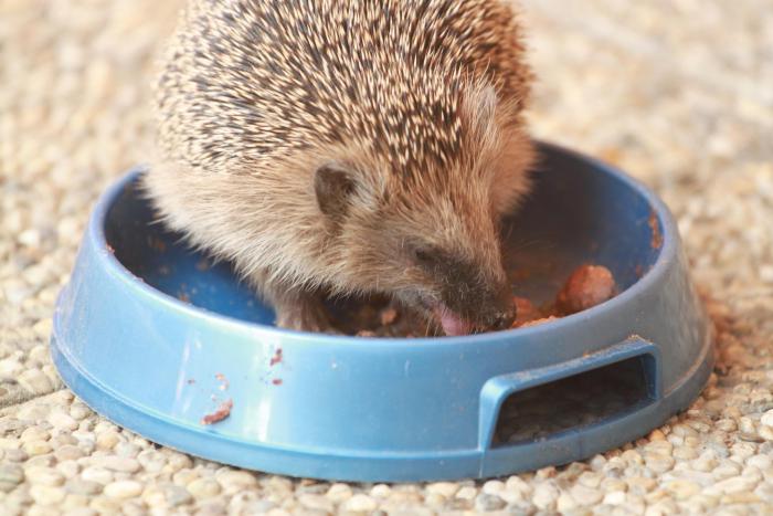 foto k příspěvku  od tmx.806