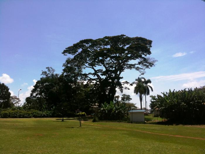 foto k příspěvku  od CervinVega