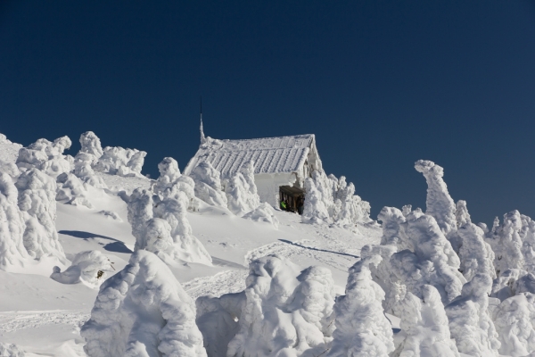 foto k příspěvku  od soray