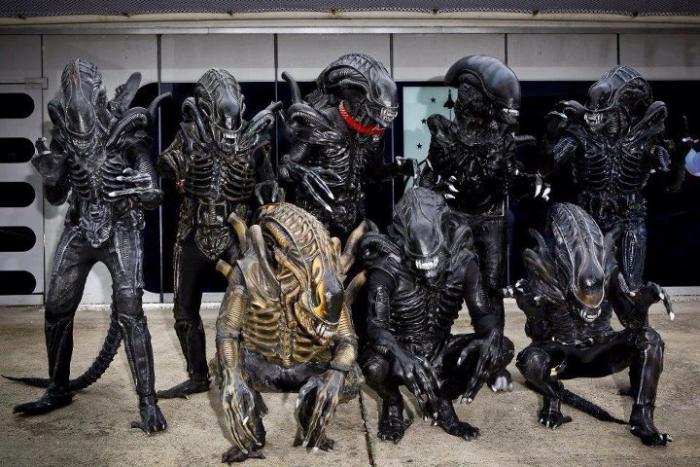 foto k příspěvku  od choze