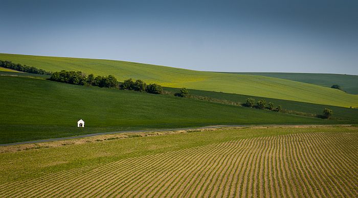 foto k příspěvku  od lukee_cz