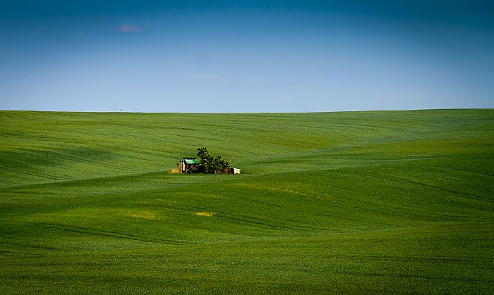 foto k příspěvku  od lukee_cz