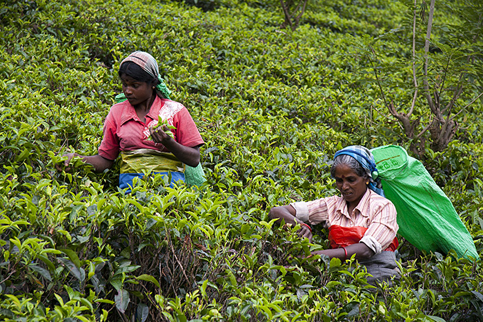 foto k příspěvku  od lukee_cz