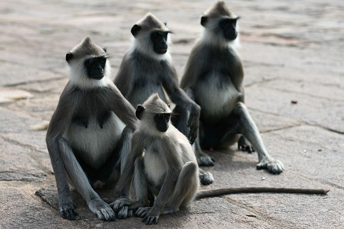 foto k příspěvku  od lukee_cz