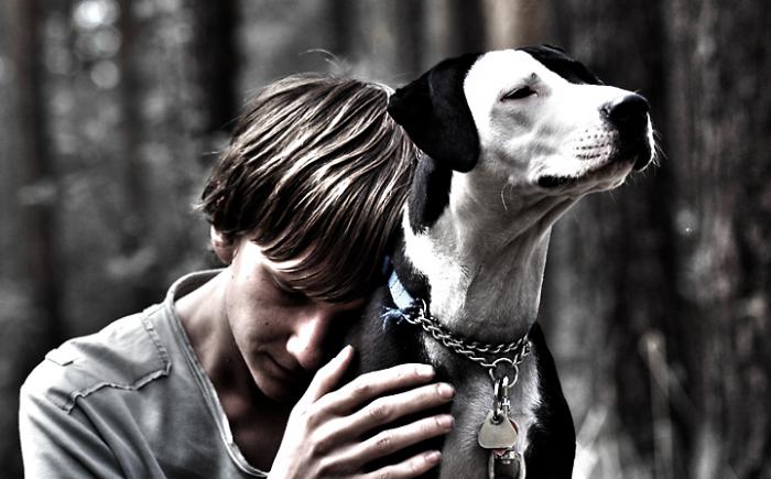 foto k příspěvku  od CVakk