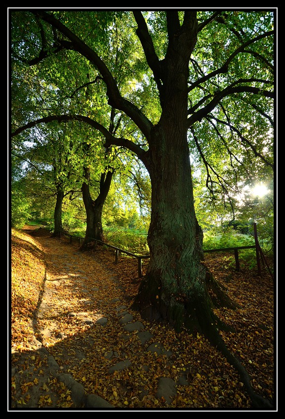 foto k příspěvku  od slama