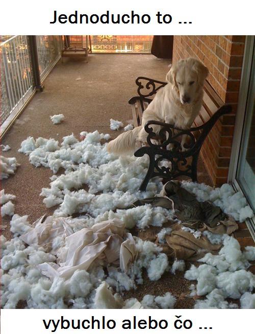 foto k příspěvku  od kozlustechnykus