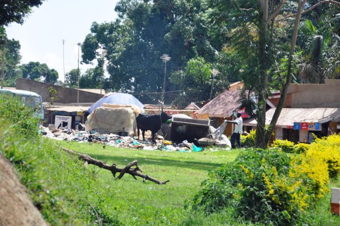 foto k příspěvku  od CervinVega