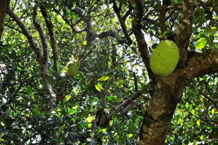 foto k příspěvku  od CervinVega