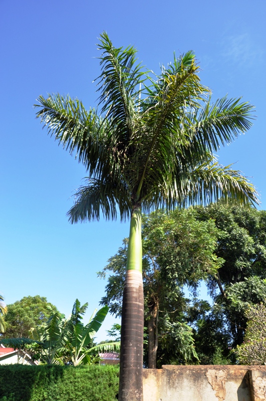 foto k příspěvku  od CervinVega