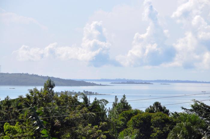 foto k příspěvku  od CervinVega