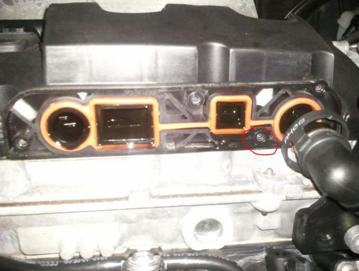 foto k příspěvku  od Vasekkch