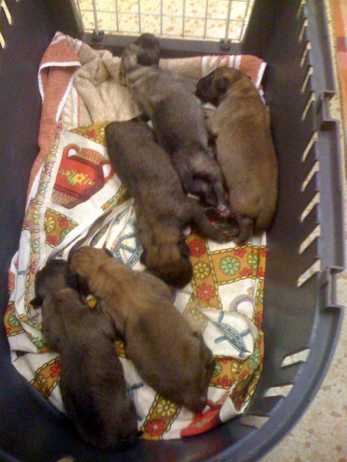 foto k příspěvku  od maresk