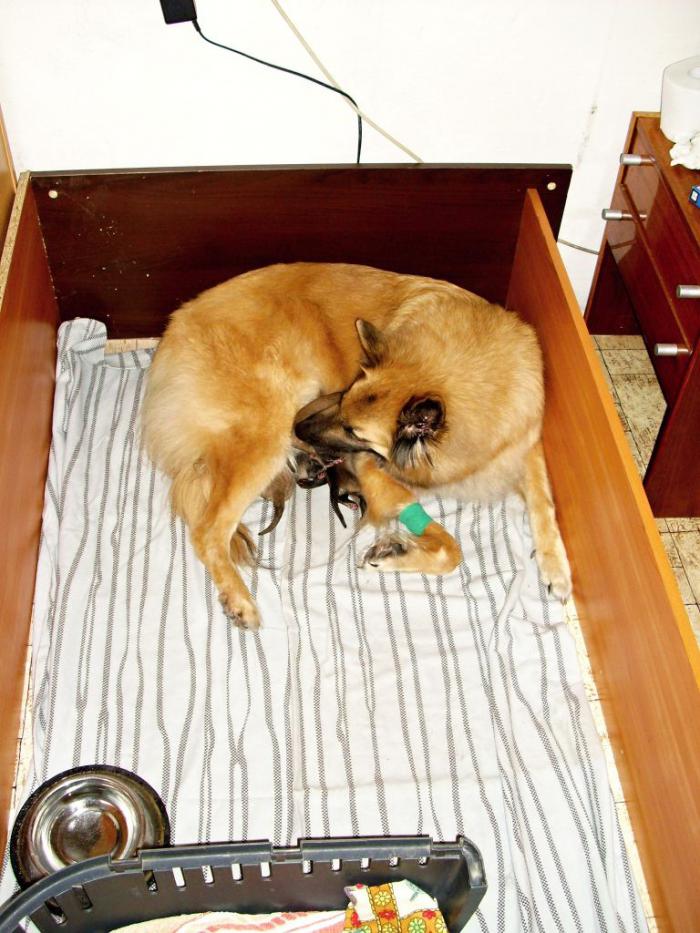 foto k příspěvku  od maresk