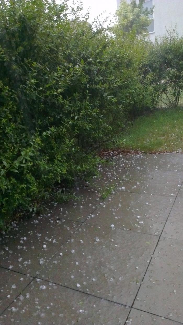 foto k příspěvku  od Paczqo