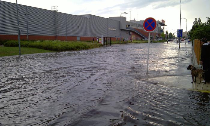 foto k příspěvku  od Paczqo