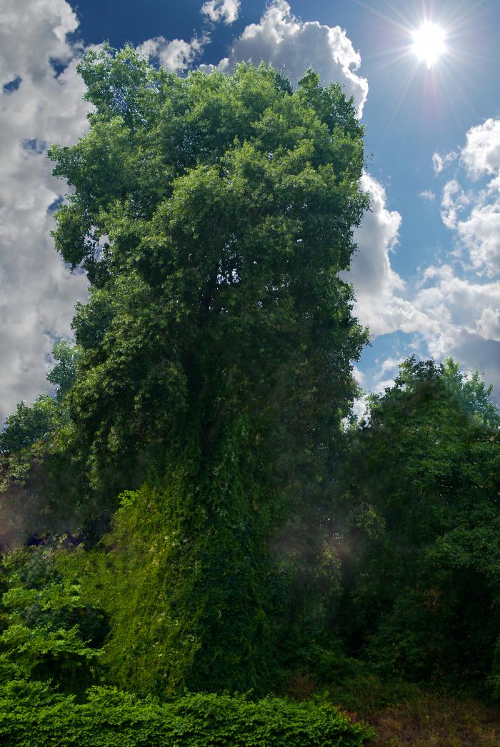 foto k příspěvku  od Bucci