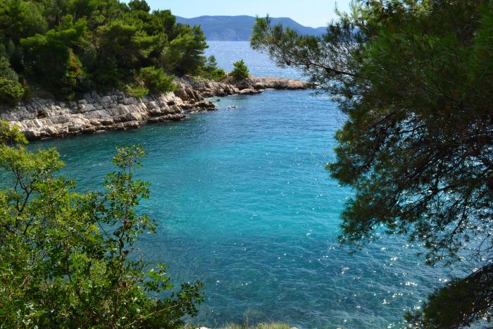 foto k příspěvku  od Soptík