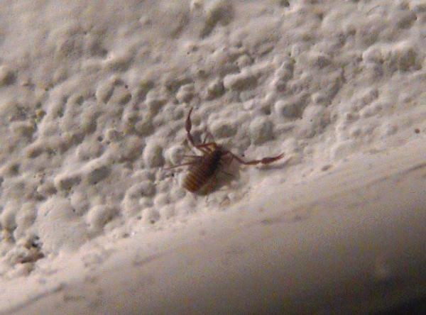 foto k příspěvku  od SEKIN