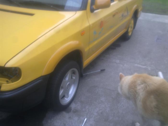 foto k příspěvku  od Antonio