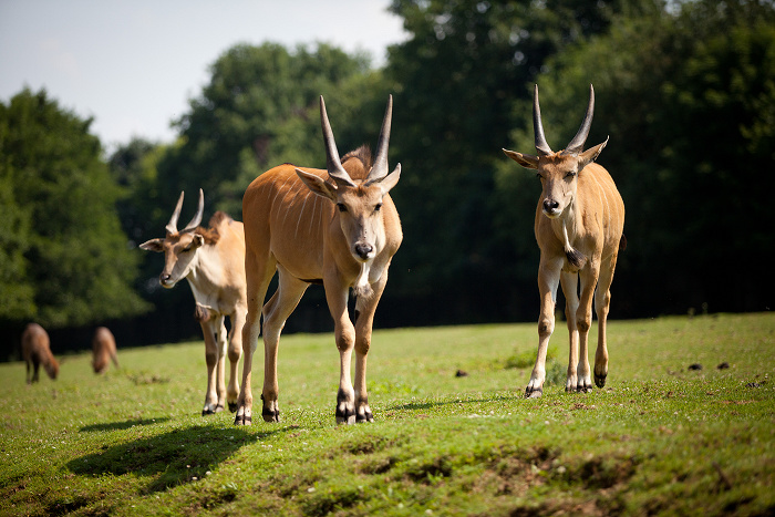 foto k příspěvku  od soray