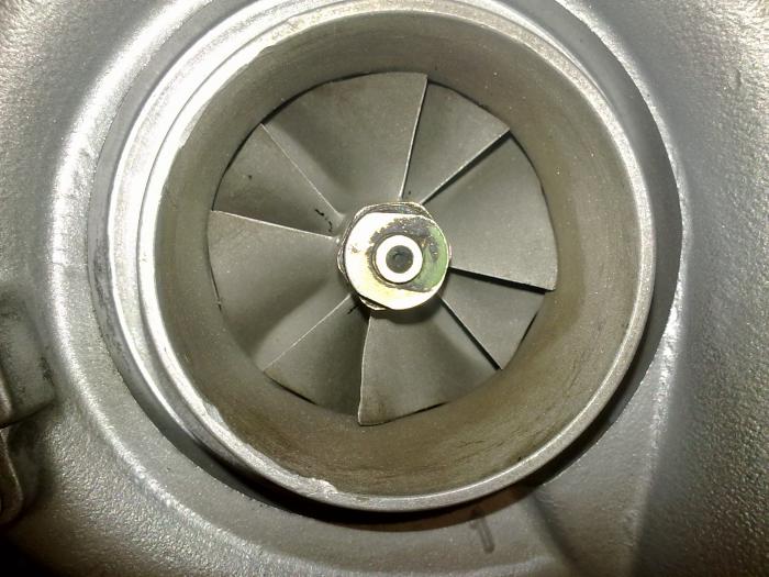 foto k příspěvku  od hanzy10