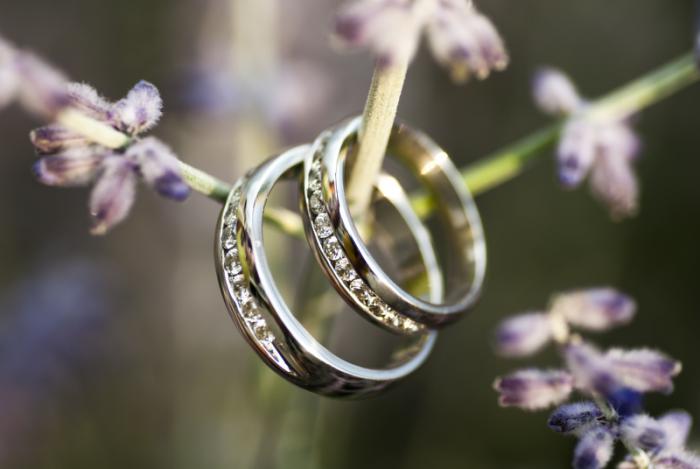 foto k příspěvku  od Bucci