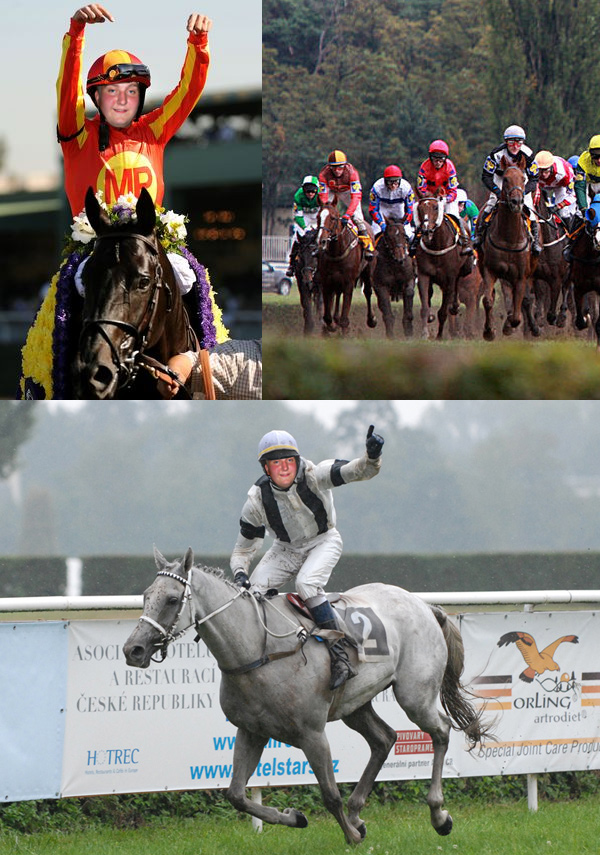 foto k příspěvku  od shamania