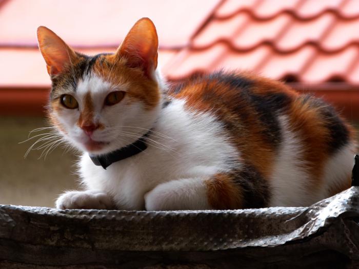 foto k příspěvku  od M.a.R.i