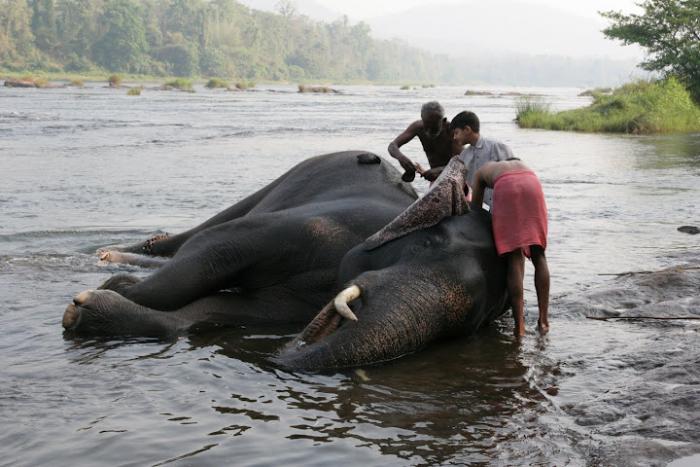 foto k příspěvku  od nome