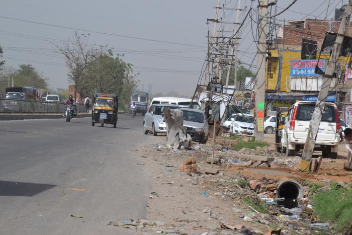 foto k příspěvku  od Proffesor_W