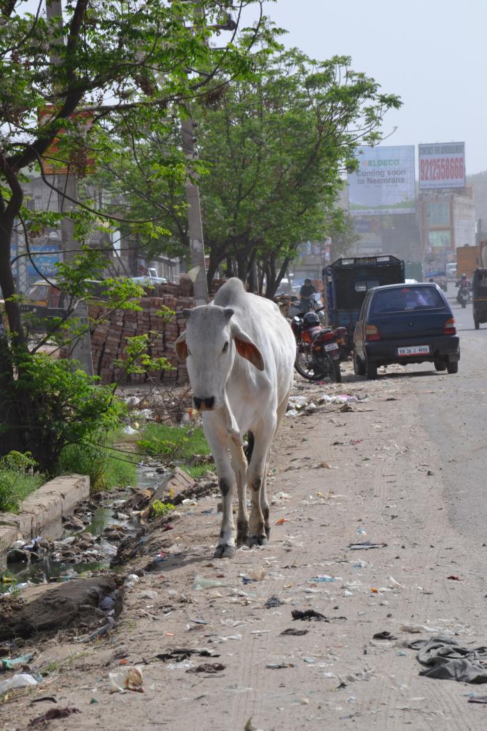 foto k příspěvku  od Proffesor_W