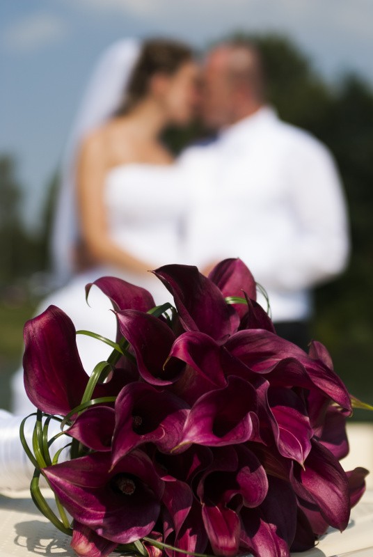 foto k příspěvku  od Bucci