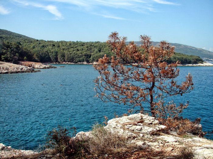 foto k příspěvku  od .mycTD