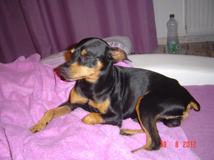 foto k příspěvku  od JA