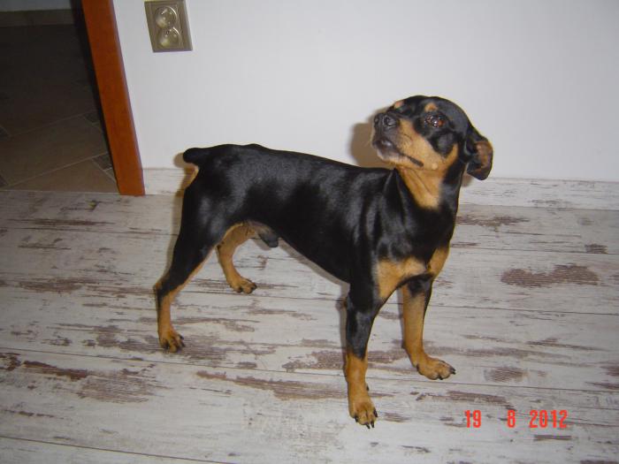 foto k příspěvku  od JA