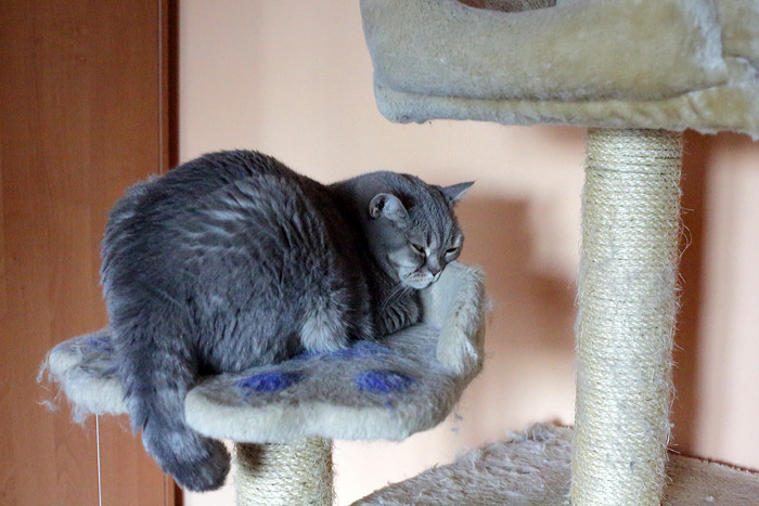 foto k příspěvku  od Mr.Scully