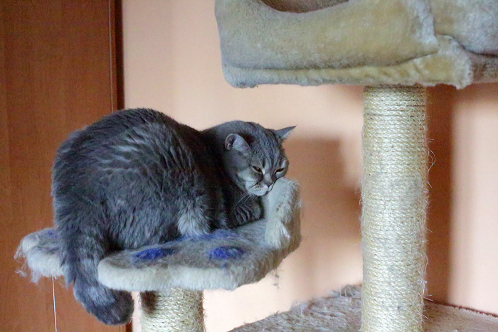 foto k příspěvku  od Mr.Scully