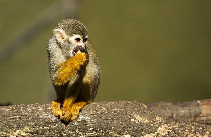 foto k příspěvku  od lukee_cz